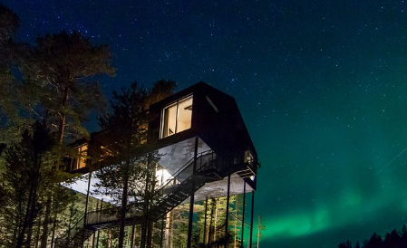 Review Treehotel Swedia Pengalaman Rumah Pohon Unik