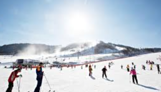 Resort Ski Terbaik Korea di Alpensia Resort Pyeongchang