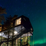 Review Treehotel Swedia Pengalaman Rumah Pohon Unik