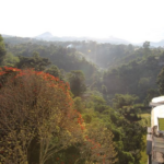 Review Padma Hotel Bandung Pengalaman Menginap Di Lembah