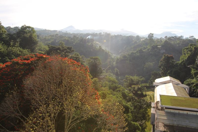 Review Padma Hotel Bandung Pengalaman Menginap Di Lembah